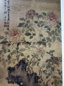 正版 陳淳精品畫集 8開精裝 畫冊花鳥水仙圖花卉圖書畫集 天津人民美術出版社