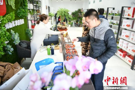 蘭州新區打造高端林果花卉產供銷一體化 年終推介受青睞